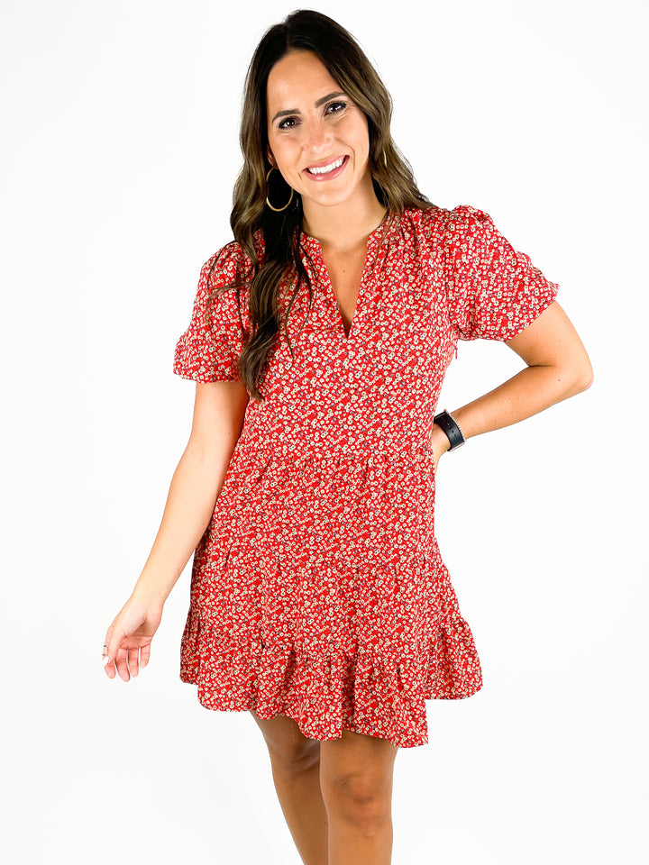 Just For Fun Dress