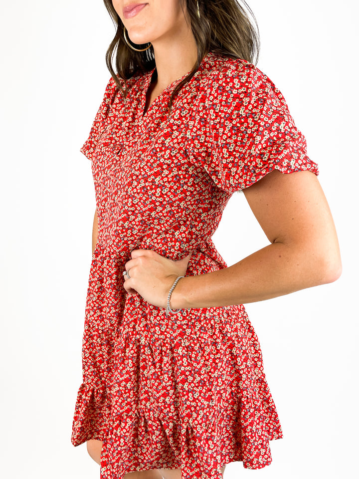 Just For Fun Dress