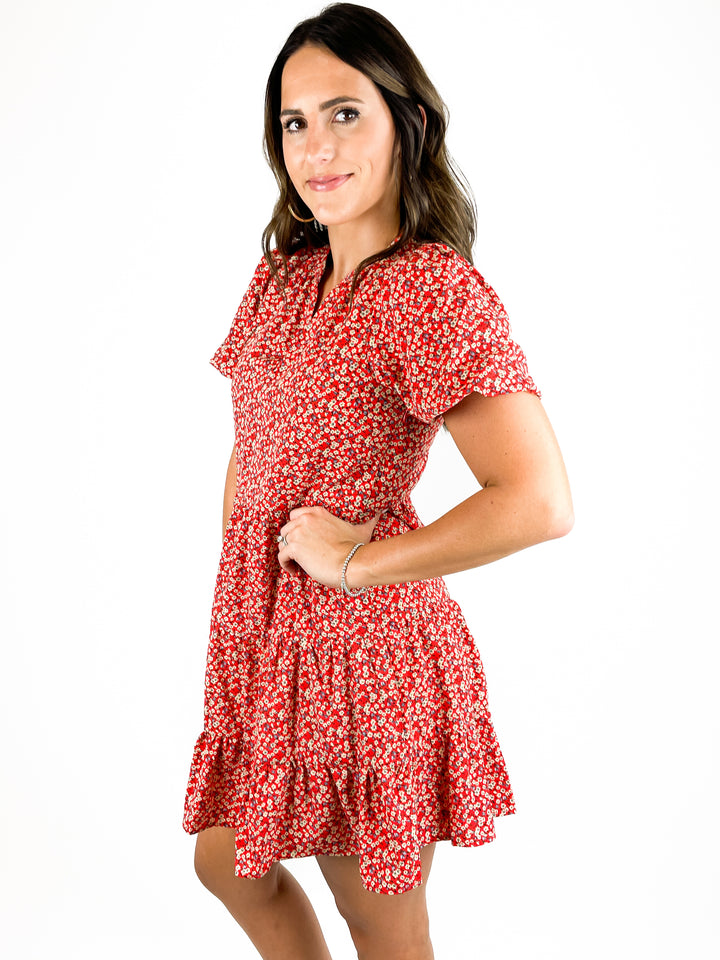 Just For Fun Dress