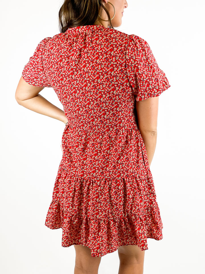 Just For Fun Dress